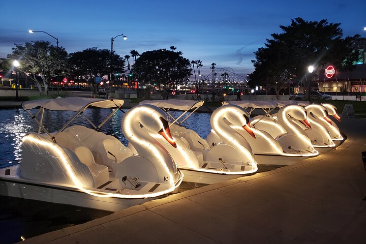 Swan Boat Rental at Rainbow Lagoon in Long Beach - Photo 1 of 6